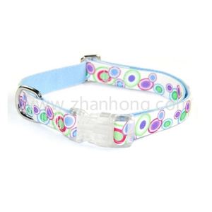 Dog Collar 020