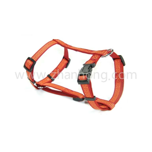 Harness 029